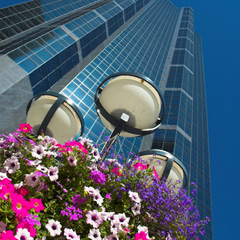 An upward view of skyscrapers in Calgary, Alberta, Canada