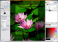 Gimp is a free digital editing program that can be downloaded and used offline