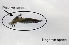Positive space is the bird, negative space is the sky