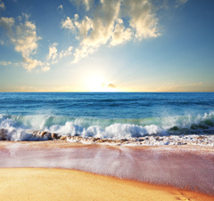 A tranquil and beautiful beach scene with sand and surf