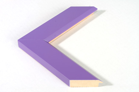 Rainbow Lavender  1 3/4