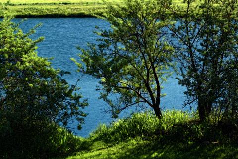 slideshow