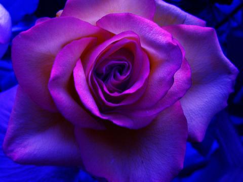 slideshow