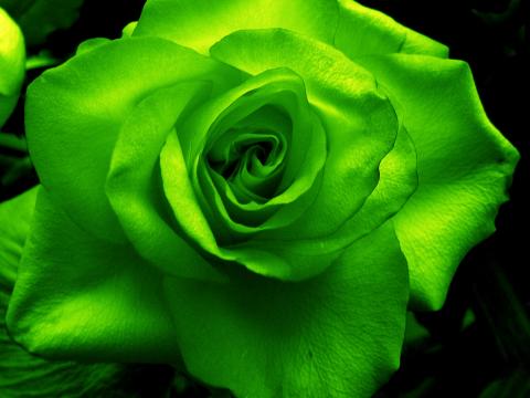 slideshow
