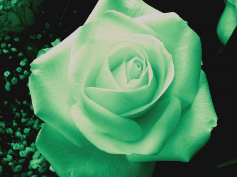 slideshow