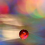 Macro Magic and Liquid in Motion