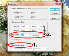Before changing the resolution, you must uncheck the Resample Image box 